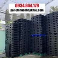 paletnhuaquynhtram