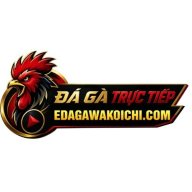 edagawakoichicom