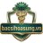 bacsihoasungvn